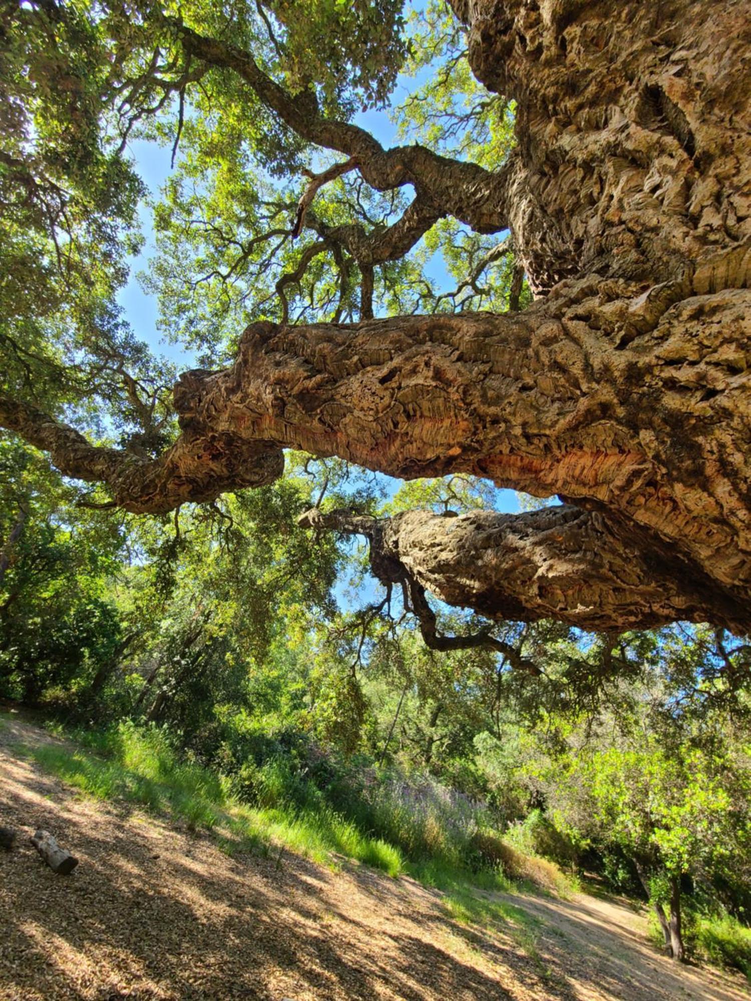 Evasion Nature A Cap Esterel Jardin, Mer & Golf Tout Confort Saint-Raphael  Exterior photo