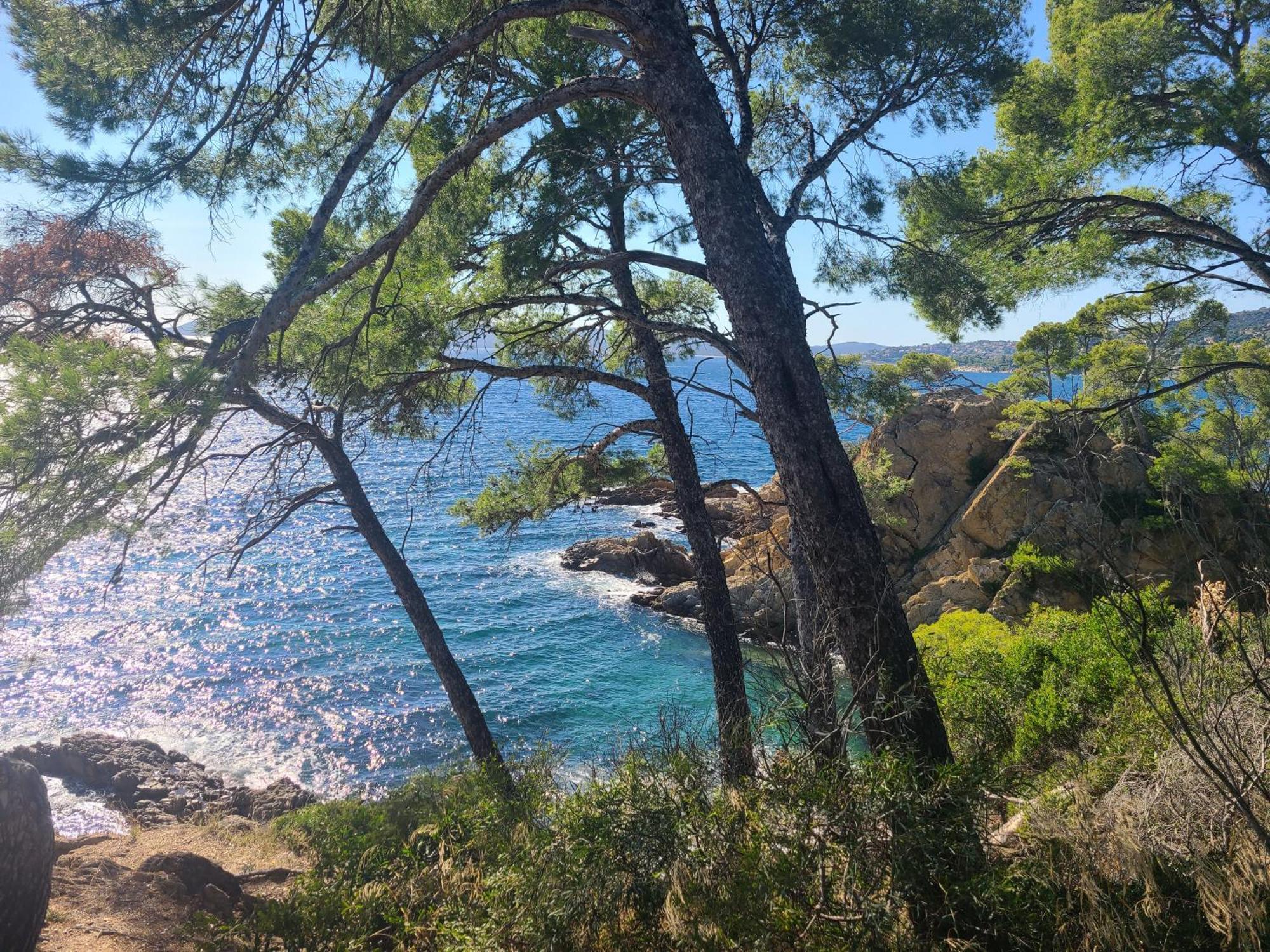Evasion Nature A Cap Esterel Jardin, Mer & Golf Tout Confort Saint-Raphael  Exterior photo
